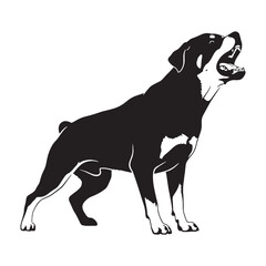 a premium Rottweiler digital black artwork, a valuable element for presentations - Rottweiler silhouette - Rottweiler Vector - Silhouette of Rottweiler - dog vector

