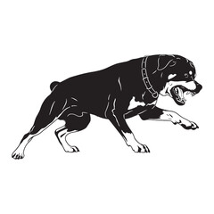 Fototapeta premium A simple Rottweiler digital black silhouette, easy to integrate into various layouts - Rottweiler silhouette - Rottweiler Vector - Silhouette of Rottweiler - dog silhouette