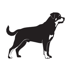 Showcasing a noble Rottweiler digital black form, simple yet impactful for designs - Rottweiler silhouette - Rottweiler Vector - Silhouette of Rottweiler - dog vector

