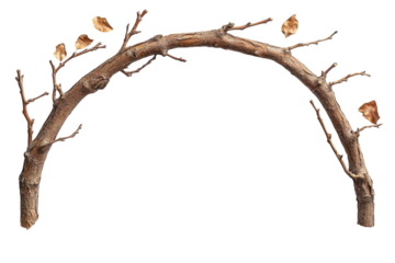 Autumnal Branch Arch Rustic Nature Sculpture Bare Tree Limbs Golden Leaves Minimalist Art Organic