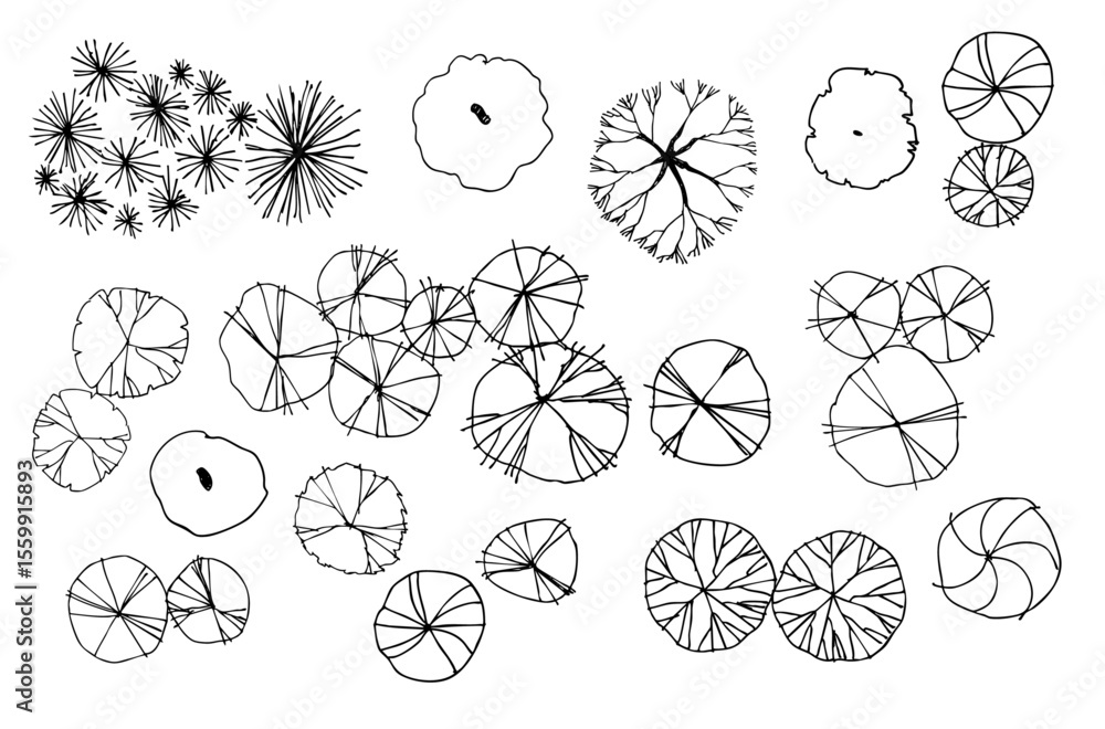 Poster tree plan sketch architecture