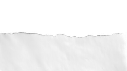 Realistic torn paper edge. Ripped white paper mockup isolated on transparent background. Piece of rip paper PNG. mockup template