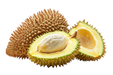 Durian Fruit Delicious Exotic Food Tropical Thai Fruit Fresh Raw Cut Durian Fruit Slice Still Life