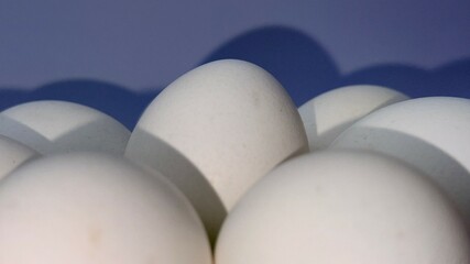 Group of white eggs are bunched together against a soft blue background
