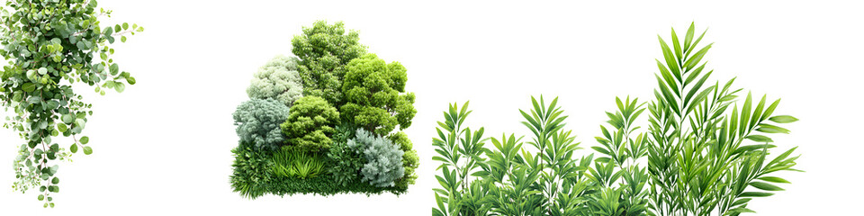 Green Plant Illustrations Set Isolated on White Background