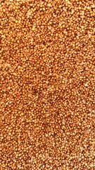 A dense layer of flavorful coriander seeds creates an earthy, textured abstract background