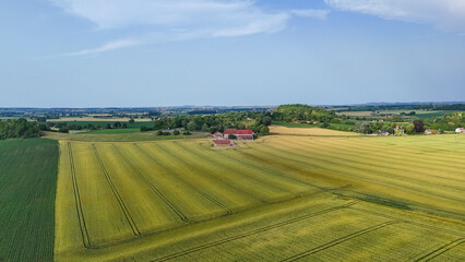 Paysage aérien d'une ferme de campagne au milieu d'un champ dans la nature en été