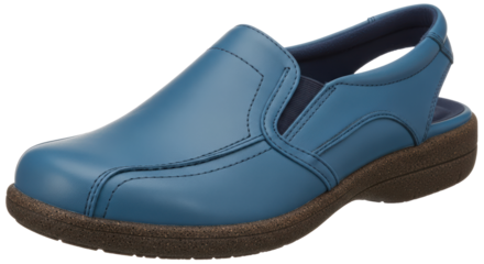 Isolated Blue Slingback Shoe