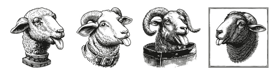 Playful Illustrations of Sheep with Distinctive Expressions and Features, vector illustration, engraving design, logo design set, black and white line