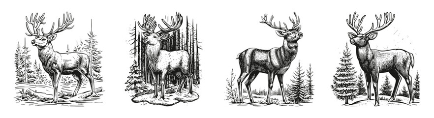 Vintage Illustrations of Elegant Deer in Natural Forest tattootings, vector illustration, engraving design, logo design set, black and white line