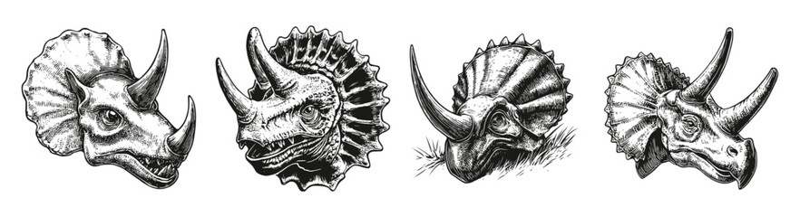 Illustrated Dinosaurs Heads in Vintage Black and White Style, vector illustration, engraving design, logo design set, black and white line