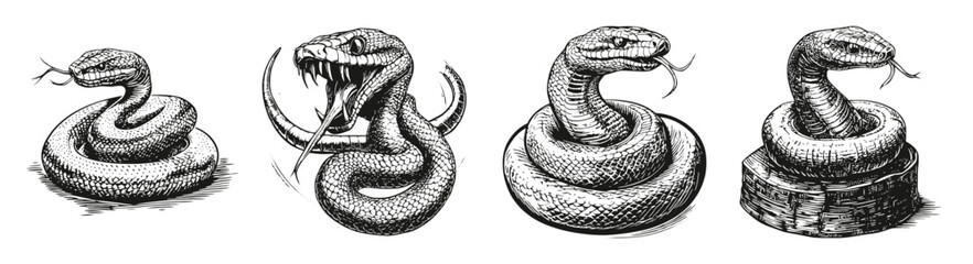 Vintage Illustration of Four Distinct Snake Designs in Various Poses, vector illustration, engraving design, logo design set, black and white line