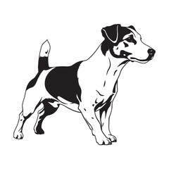 A bold Jack Russell Terrier dog outline, reflecting its courageous disposition - Jack Russell Terrier silhouette - Jack Russell Terrier Vector - Silhouette of Jack Russell Terrier - dog silhouette

