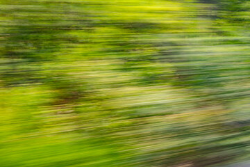 Dynamic motion blur view from high-speed train window: Green landscape, trees & fields rush past at high speed