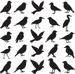 set of birds silhouettes