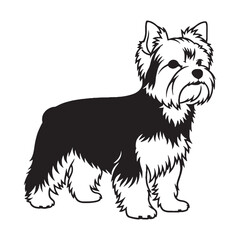 A beautiful Yorkshire Terrier graphic, a high-quality digital asset for creations - Yorkshire Terrier silhouette - Yorkshire Terrier Vector - Silhouette of Yorkshire Terrier - dog silhouette

