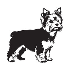A versatile Yorkshire Terrier design asset, offering a clean, modern vector - Yorkshire Terrier silhouette - Yorkshire Terrier Vector - Silhouette of Yorkshire Terrier - dog silhouette

