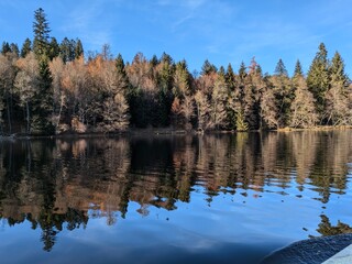 The Black Forest in autumn at Lake Titisee