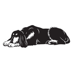 A proud Afghan Hound figure image, an elegant graphic resource for projects - Afghan Hound silhouette - Afghan Hound Vector - Silhouette of Afghan Hound - dog silhouette

