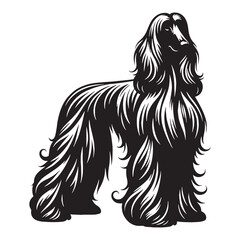 Presenting a classic Afghan Hound breed profile, with clean, sharp edges - Afghan Hound silhouette - Afghan Hound Vector - Silhouette of Afghan Hound - dog vector

