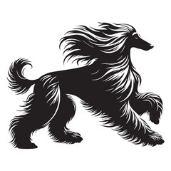 A stunning Afghan Hound breed design, perfect for various artistic projects - Afghan Hound silhouette - Afghan Hound Vector - Silhouette of Afghan Hound - dog silhouette

