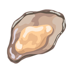 Oyster. Sea shell, cartoon icon. Ocean exotic underwater sink seashell aquatic mollusk. Tropical beach shells. Vector cartoon illustration