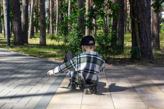 Child boy riding skateboard sitting in park, skateboarding - Powered by Adobe