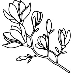 Elegant magnolia branch line art. Delicate magnolia flowers and buds on slender stems. Simple magnolia branch illustration perfect for wedding invitations, branding, and logo design.