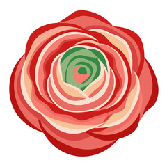 High-Quality Ranunculus Vector Illustration 
