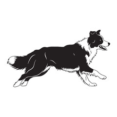 A proud Border Collie figure image, an elegant graphic resource for projects - Border Collie silhouette - Border Collie Vector - Silhouette of Border Collie - dog silhouette

