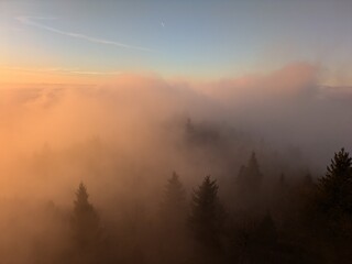 Clouds and trees in the evening light Black Forest Hoch Blauen