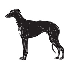 Featuring an artistic Greyhound profile, with a minimalist yet striking aesthetic - Greyhound silhouette - Greyhound Vector - Silhouette of Greyhound - dog silhouette

