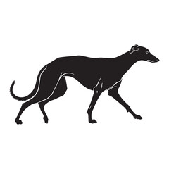 An iconic Greyhound representation, clearly identifying the beloved breed - Greyhound silhouette - Greyhound Vector - Silhouette of Greyhound - dog vector

