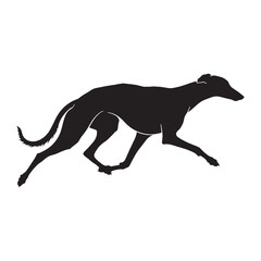 Fototapeta premium Featuring an authentic Greyhound canine visual, accurately representing the breed - Greyhound silhouette - Greyhound Vector - Silhouette of Greyhound - dog vector