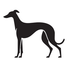 A proud Greyhound figure image, an elegant graphic resource for projects - Greyhound silhouette - Greyhound Vector - Silhouette of Greyhound - dog silhouette


