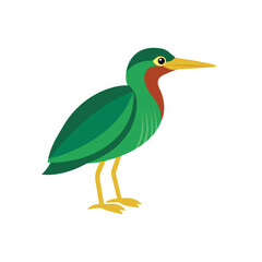 Green heron bird illustration captured in a realistic style isolated on white background
