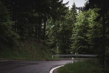 A vertical photograph of a paved asphalt road winding through a lush green forest. Tall trees line...