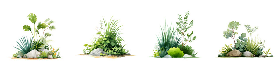 Ornamental Grass and Stone Arrangement Set: Watercolor Illustration