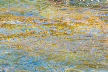 初夏の水辺　清流の流れ水面のアップ　204