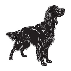 A beautiful Irish Setter breed design, perfect for various artistic projects - Irish Setter silhouette - Irish Setter Vector - Silhouette of Irish Setter - dog silhouette

