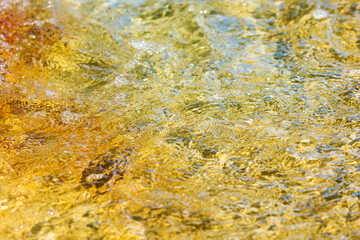 初夏の水辺　清流の流れ水面のアップ　215