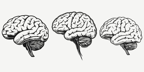 brain side view sketch illustration vector