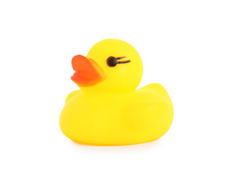 One cute rubber duck isolated on white