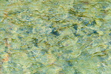 初夏の水辺　清流の流れ水面　245