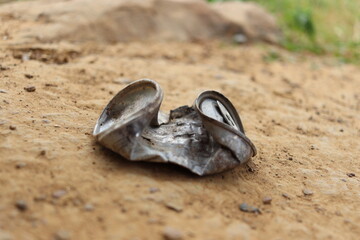 An old, rusty, distorted can lies on the floor