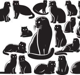Obraz premium Scottish Fold Cat Vector in black and white