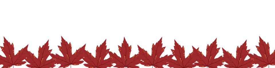 Autumn Maple Leaves Border. Fall Leaves Rectangle Banner. Botanical Vector Flat Illustrations
