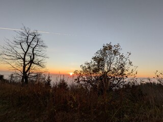 Sunset above the clouds with trees