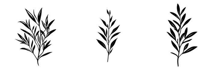 Fototapeta premium Silhouette pictogram collection featuring various leaf designs in a minimalist style for decorative and educational uses