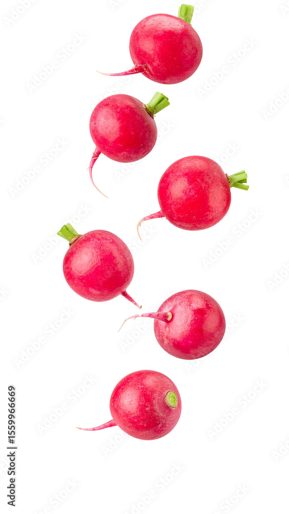Poster radishes with green stems falling against a transparent background, creating a dynamic and vibrant v